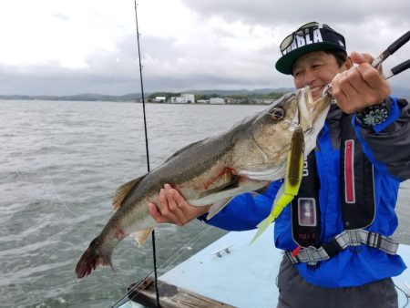 アマテラス 釣果