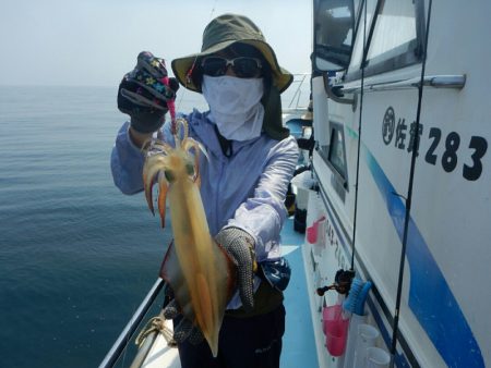 きずなまりん 釣果