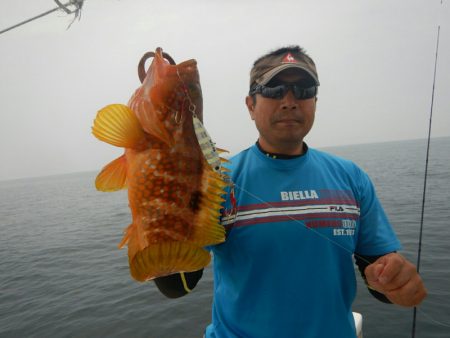きずなまりん 釣果