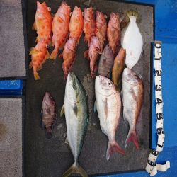 清和丸 釣果