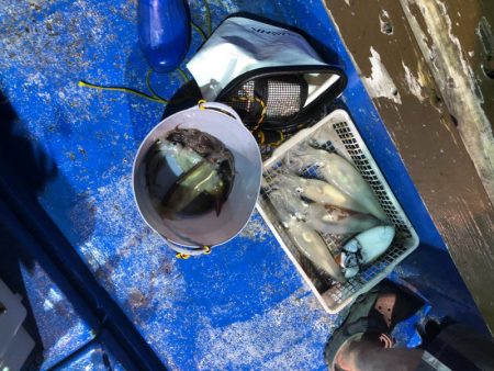 海龍丸（石川） 釣果