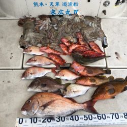 末広丸(熊本) 釣果