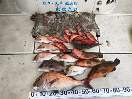末広丸(熊本) 釣果
