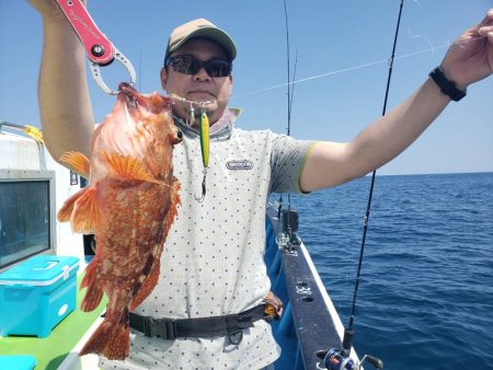 丸万釣船 釣果