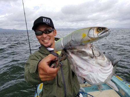 アマテラス 釣果