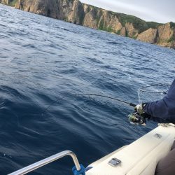 海友丸 釣果
