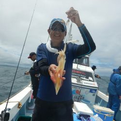 きずなまりん 釣果