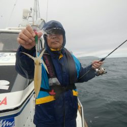 きずなまりん 釣果