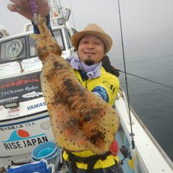 きずなまりん 釣果