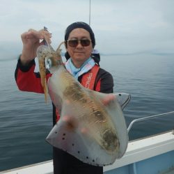 きずなまりん 釣果