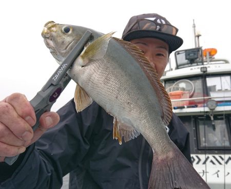 シースナイパー海龍 釣果