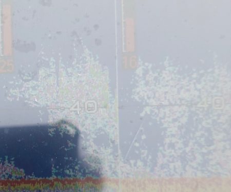 「LaGooN」蒼陽丸 日和号 釣果