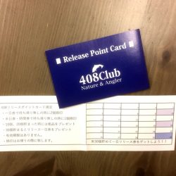 408Club 釣果