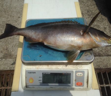 晃山丸 釣果