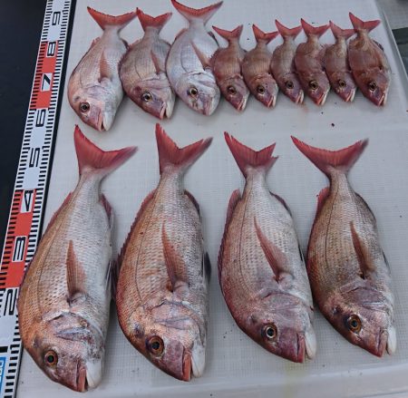 遊漁船　家入 釣果