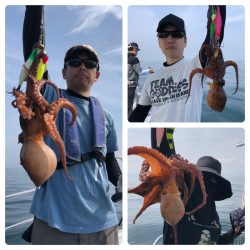 ビッグファイター 釣果