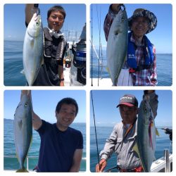 ビッグファイター 釣果