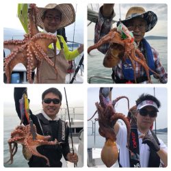 ビッグファイター 釣果