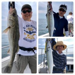 ビッグファイター 釣果