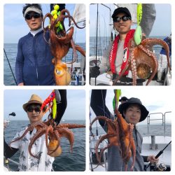 ビッグファイター 釣果