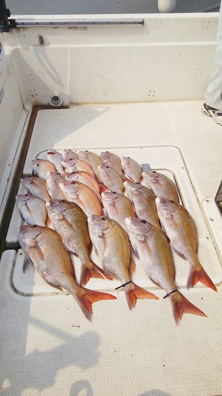 マリンガイド福丸 釣果
