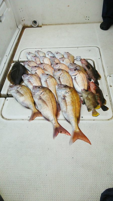 マリンガイド福丸 釣果
