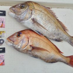 マリンガイド福丸 釣果