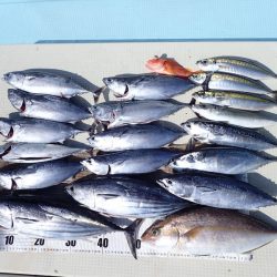 水天丸 釣果