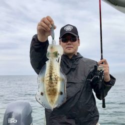 South Current 釣果