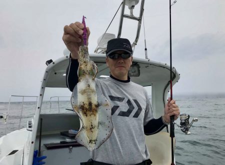 South Current 釣果