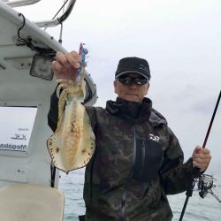 South Current 釣果