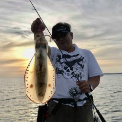 South Current 釣果