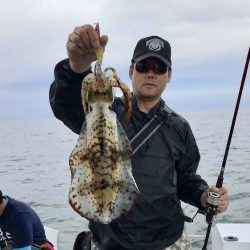 South Current 釣果