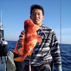 ひな丸 釣果