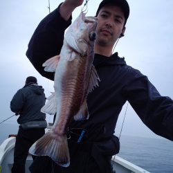 ひな丸 釣果