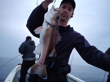 ひな丸 釣果