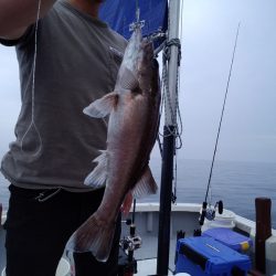 ひな丸 釣果