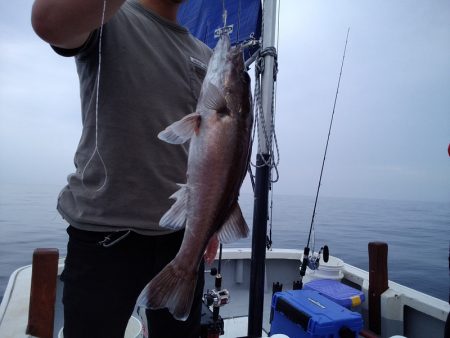 ひな丸 釣果