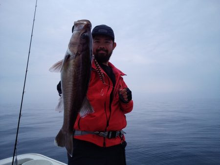ひな丸 釣果