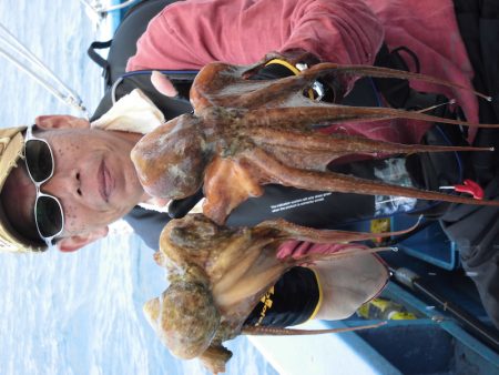 ヤザワ渡船 釣果