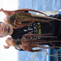 ヤザワ渡船 釣果