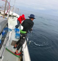 第二清洋丸 釣果