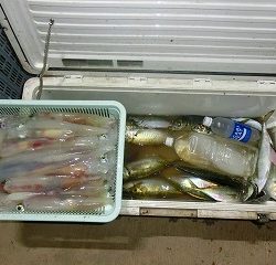 第二清洋丸 釣果