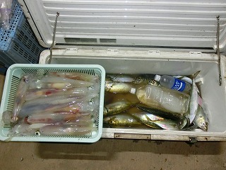 第二清洋丸 釣果