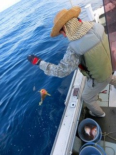 第二清洋丸 釣果