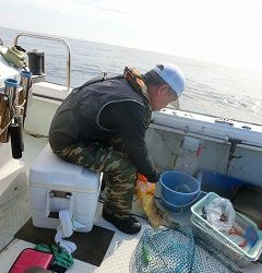 第二清洋丸 釣果