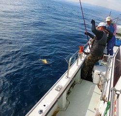 第二清洋丸 釣果