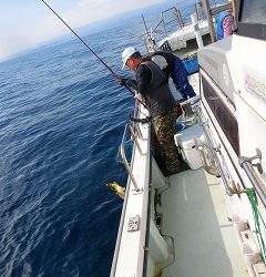 第二清洋丸 釣果