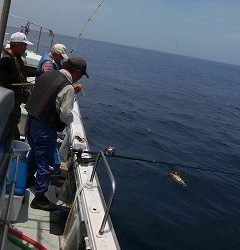 第二清洋丸 釣果
