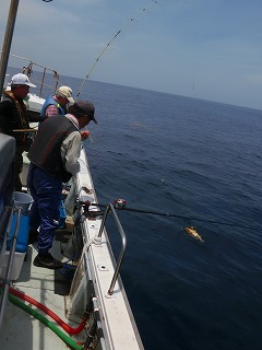 第二清洋丸 釣果